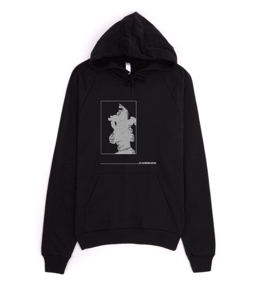 Image of EX INDUMENTIS ANGEL HOODIE