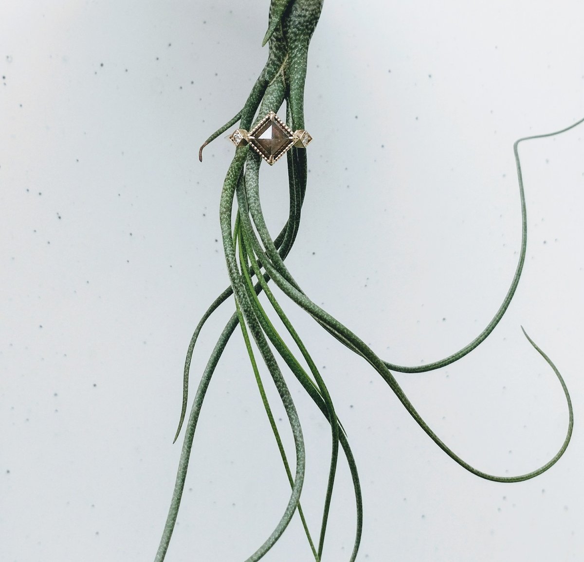 Image of Edna Ring