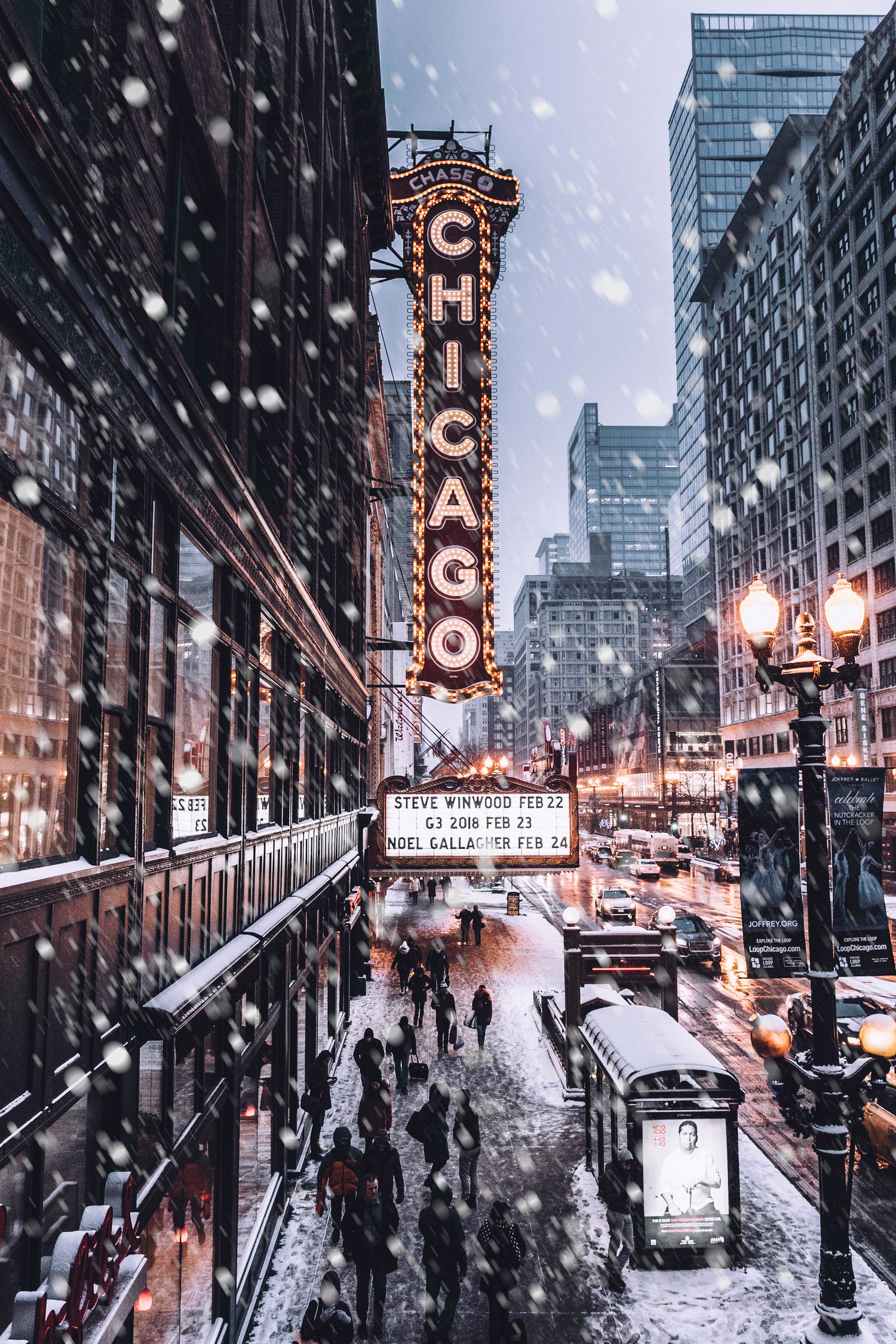 Image of Chicago Print