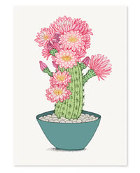 'Pink Cactus' Limited Edition Art Print