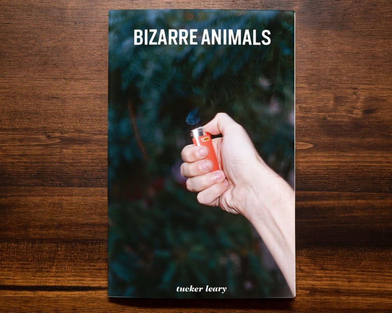 Image of Bizarre Animals (Vol. 1)