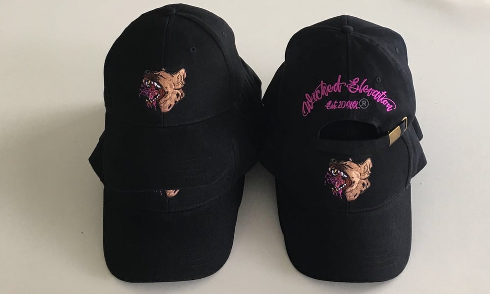 Image of PAQ HAS ARRIVED