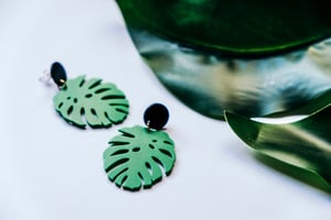 Image of MONSTERA 