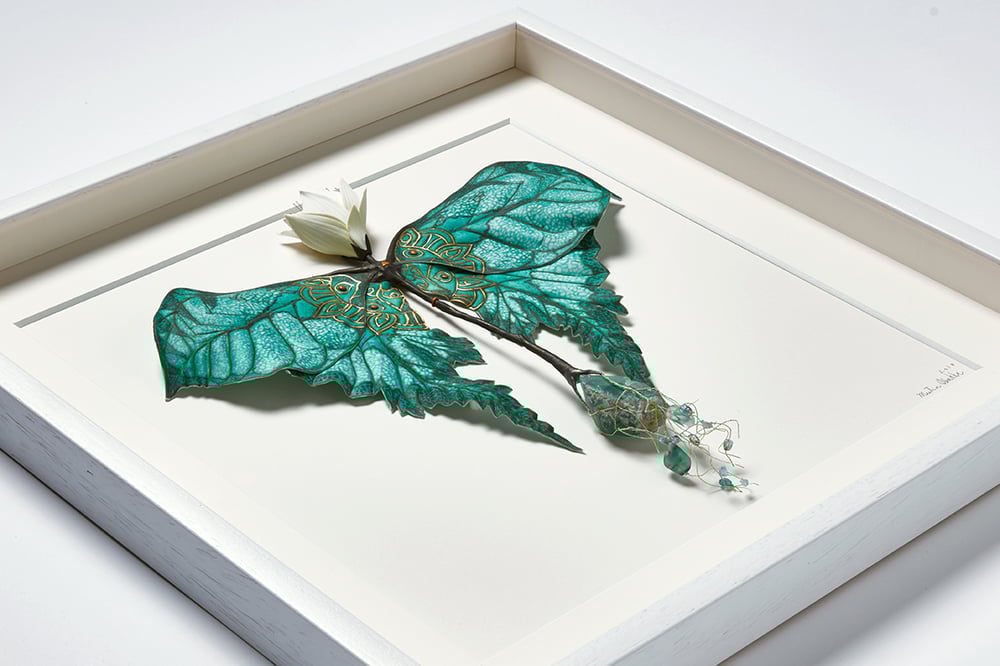 Image of White Lotus