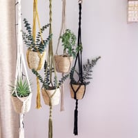 Image 1 of LA RAVISSANTE Suspension pour plante & bouquets