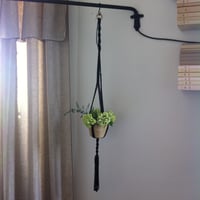 Image 4 of LA RAVISSANTE Suspension pour plante & bouquets