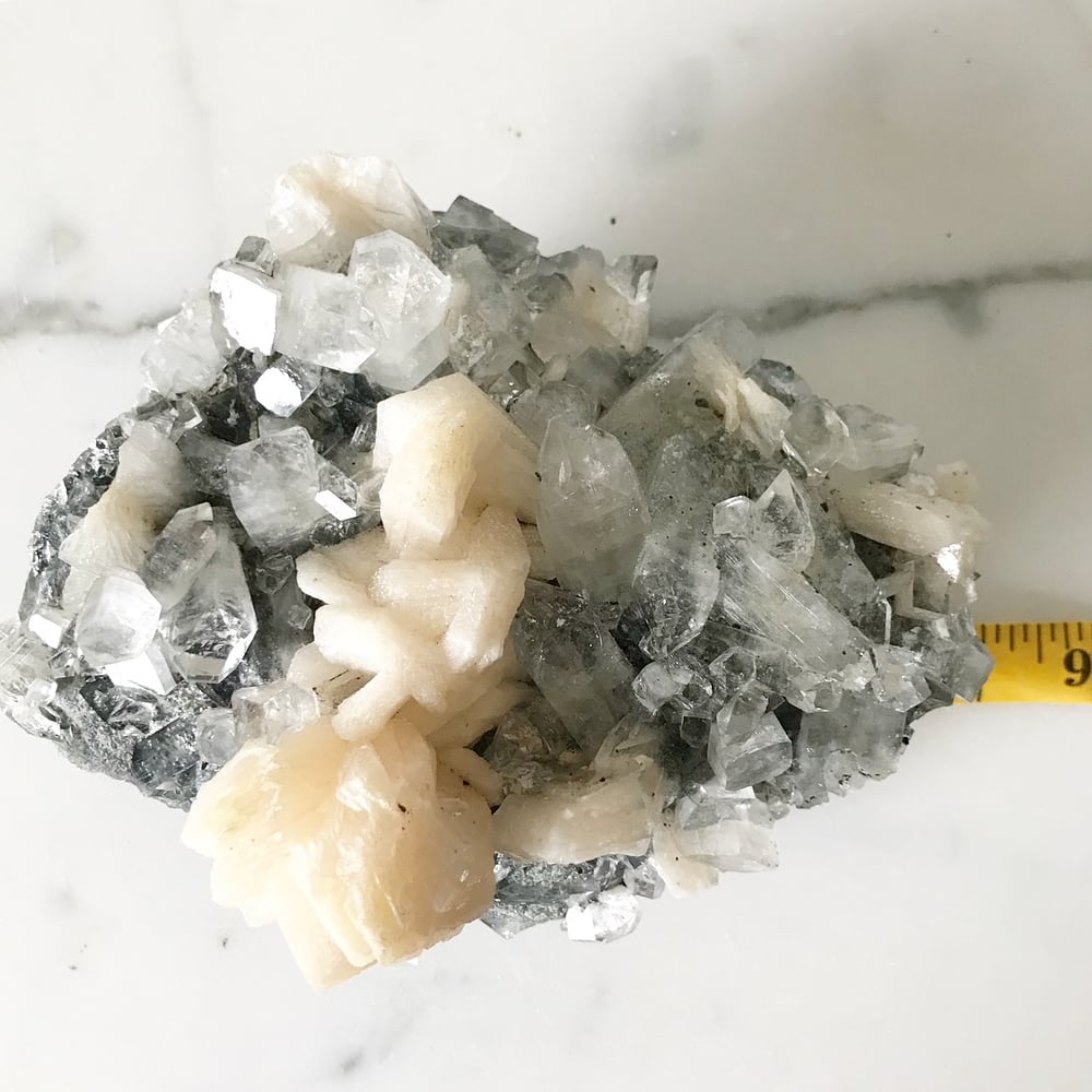 Image of Zeolite no.96 Vintau Tall Brass Stand Pairing