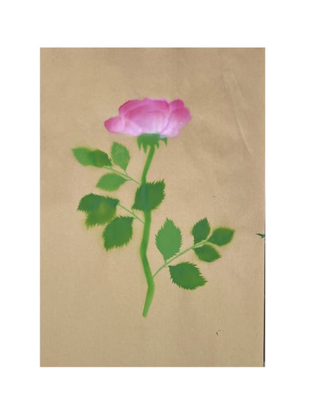 Image of Rose ‘Ulrich Brunner’ - 1 rose (2)