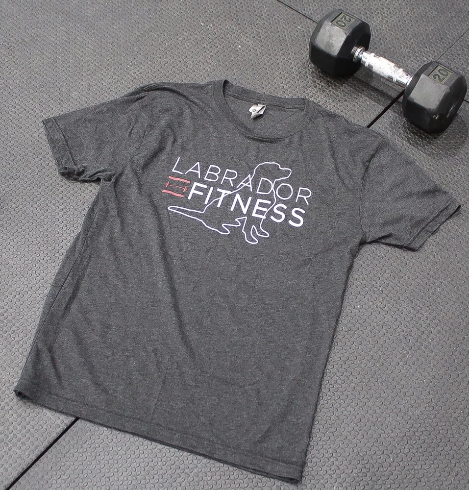 Image of Labrador Fitness Flagship T-Shirt