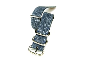 Image of Light blue stingray NATO strap