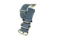 Image 1 of Light blue stingray NATO strap