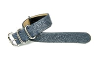 Image 2 of Light blue stingray NATO strap