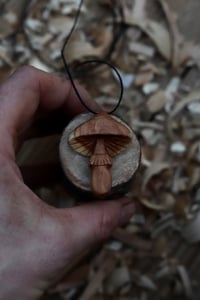 Image 1 of Apple Wood Parasol Mushroom