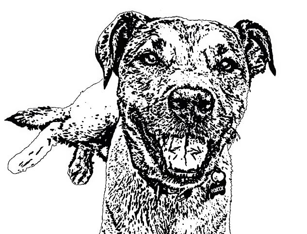 Image of ROSCOE