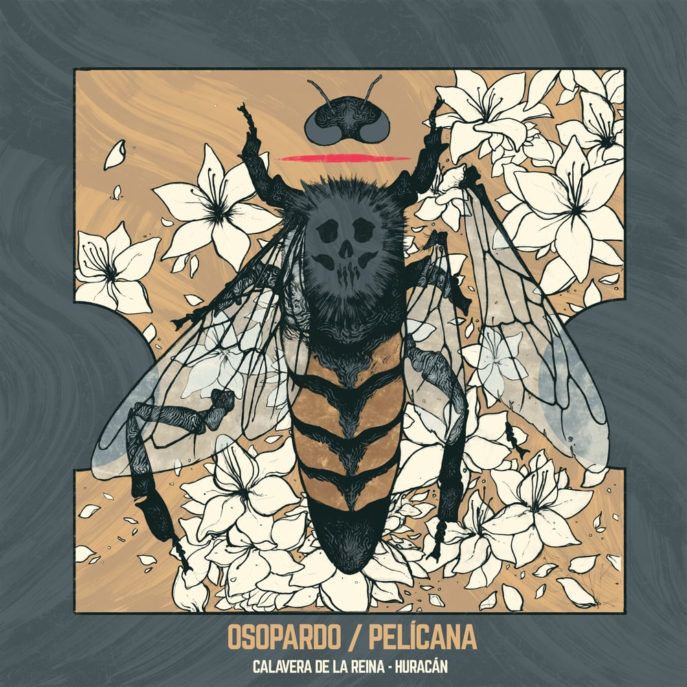 Image of OSOPARDO/PELÍCANA. Calavera de la Reina/Huracán (7'')