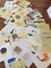 PenPal Surprise