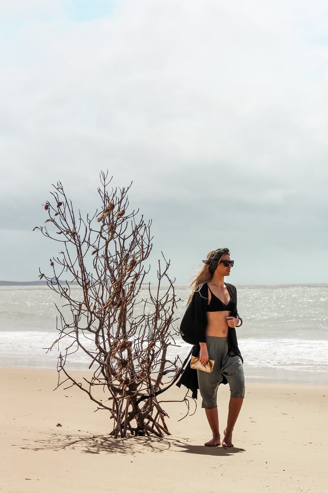 Image of Beach Shorts - Olive