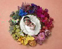 Image 5 of TWO DAY Newborn 1:1 Mentoring with Shannon Leigh