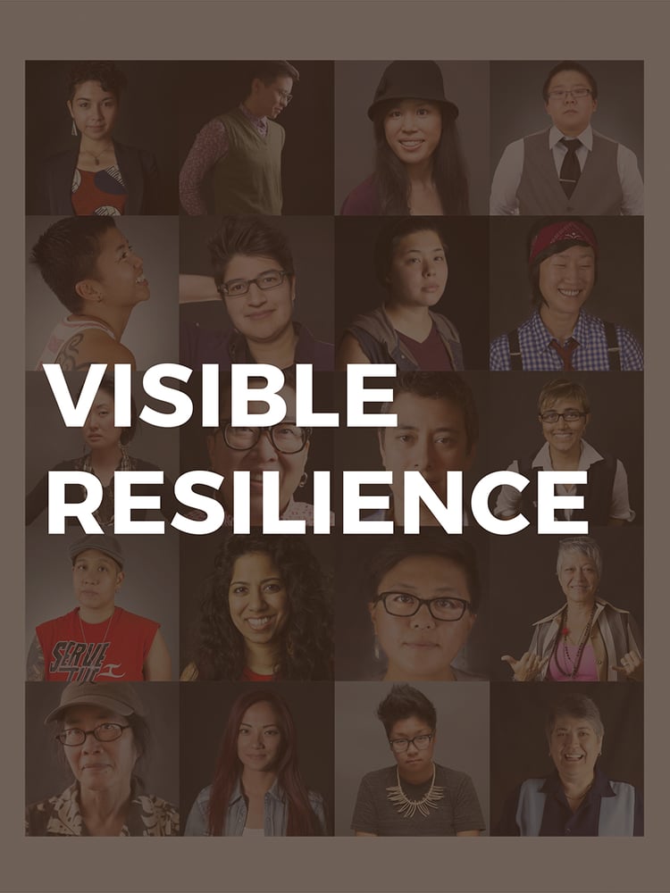 Image of Visible Resilience Book