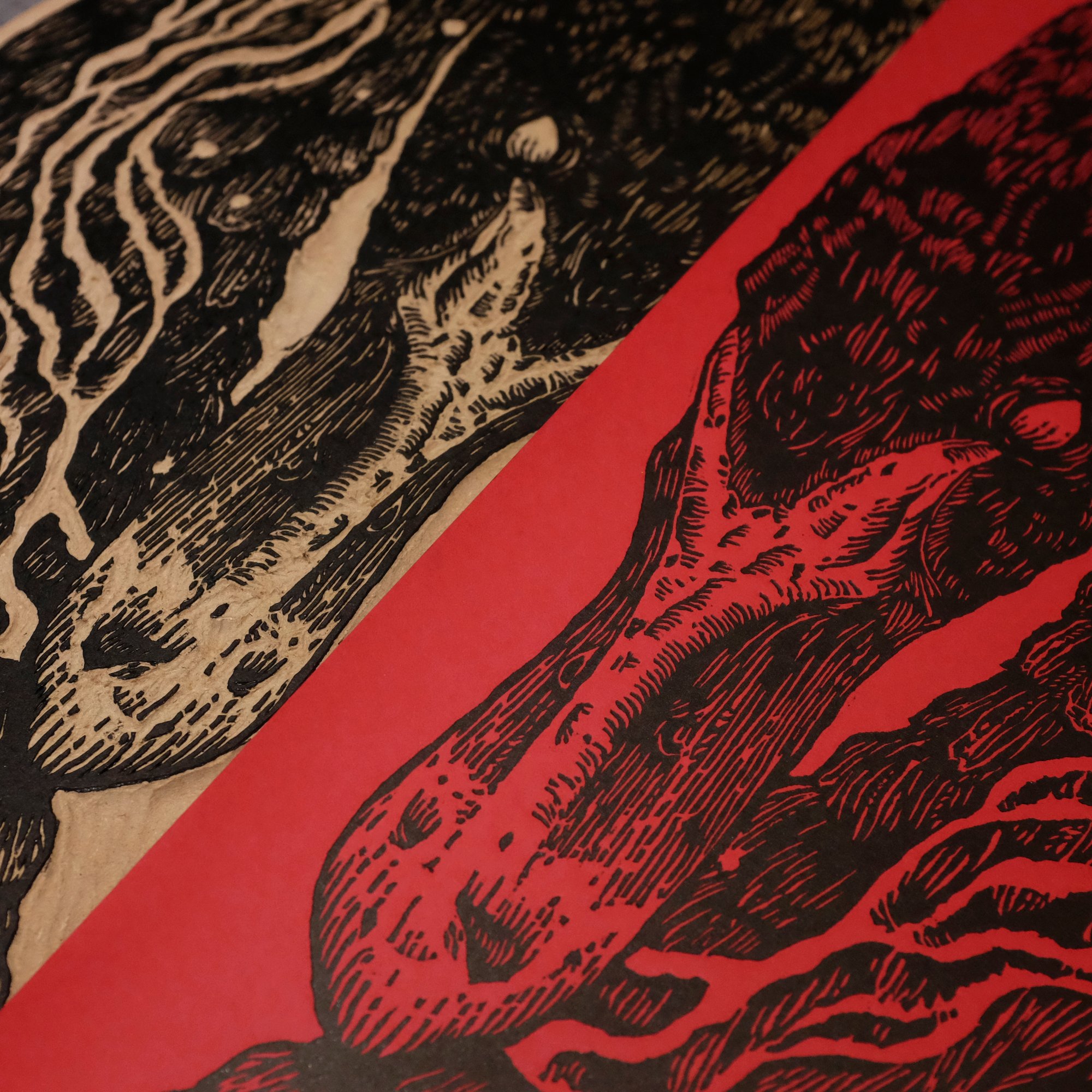 Image of PLANET OF ZEUS Paris 2018