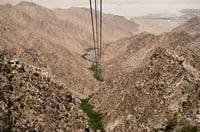 Image 4 of 'DOWN SOUTH IN HELL"