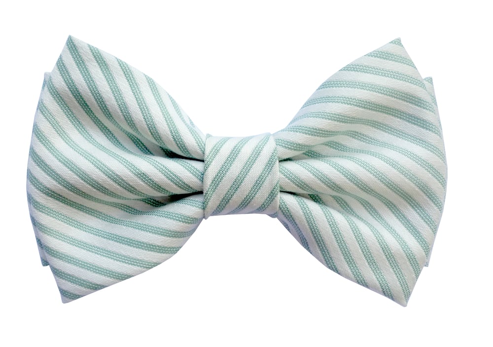 Image of Green stripes Dandy pre-tied bow tie
