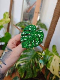 Image 3 of Horquilla Monstera Thai Constellation 