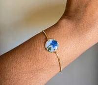 Image 1 of Forget me not 