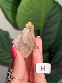 Image 9 of CHOOSE YOUR OWN NATURAL (UNPOLISHED) RUTILE IN QUARTZ POINT -BRAZIL-