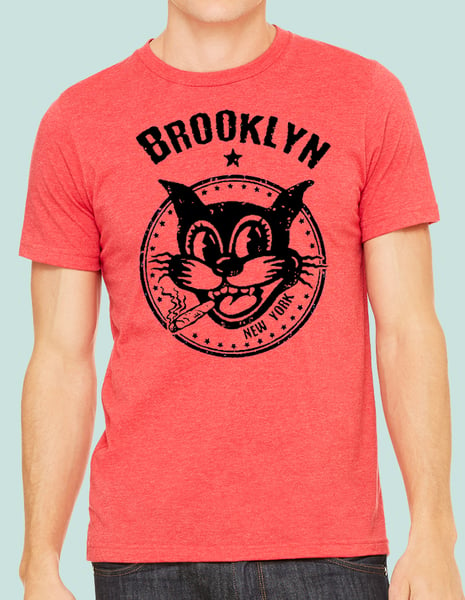 Image of Brooklyn Black Cat