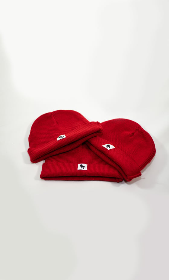 Image of Label Beanie