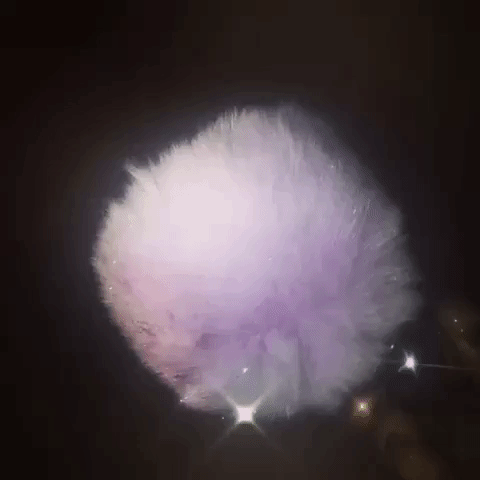 Image of The Mary Jane Deluxe: Dusty