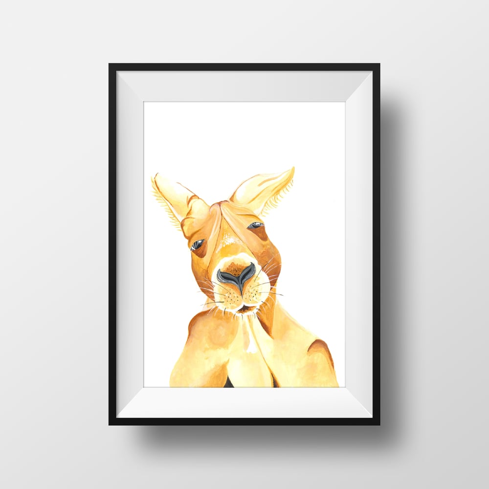 Image of The Roo