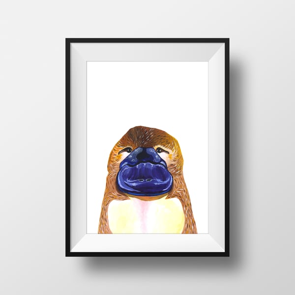 Image of The Platypus