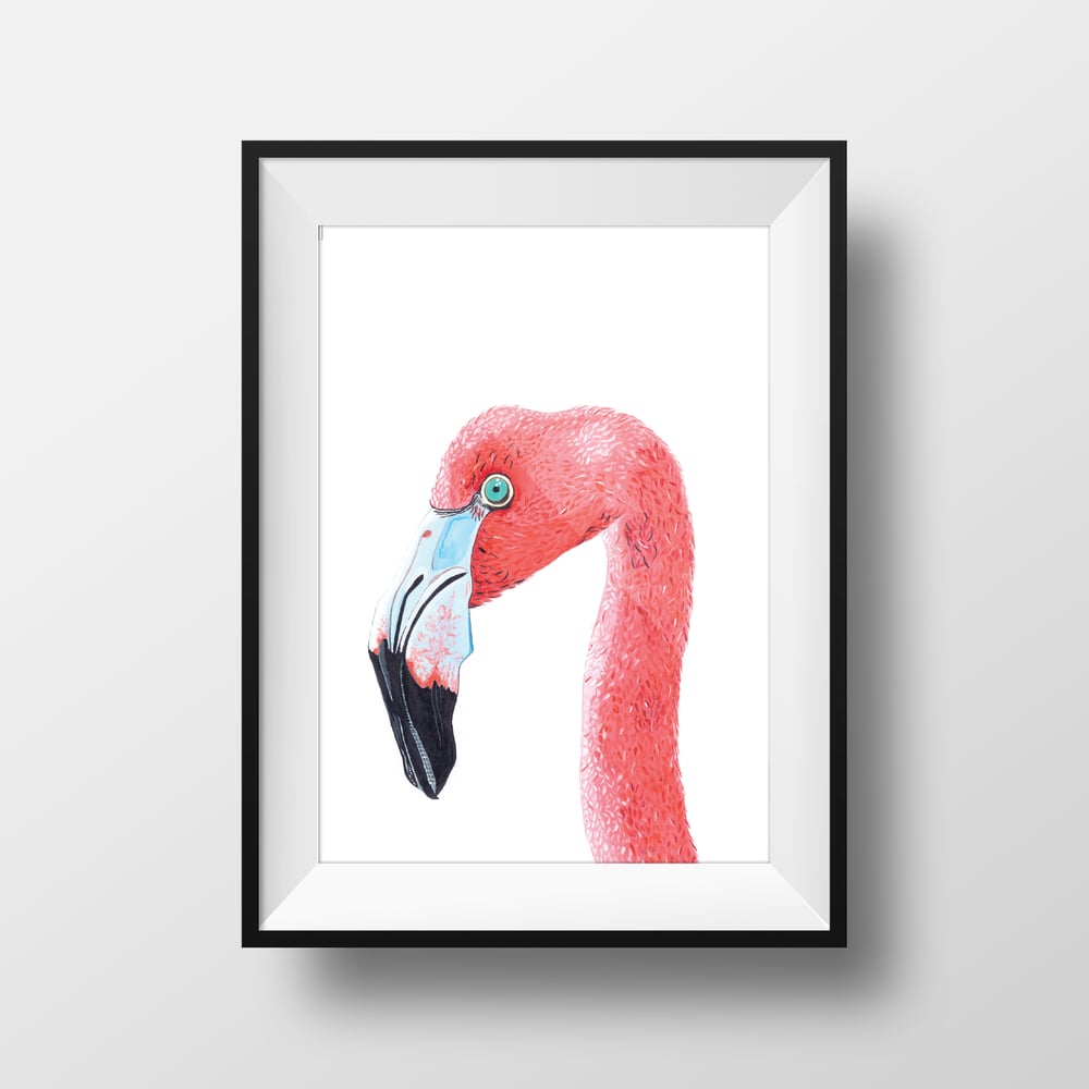 Image of The Flamingo