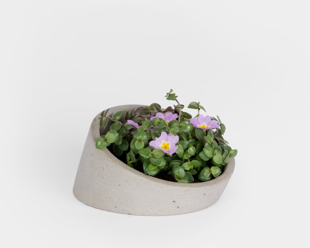 Image of Pot - Planteur M4