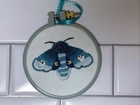 Moth