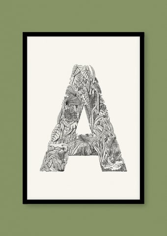 Image of Alligator / Alligator