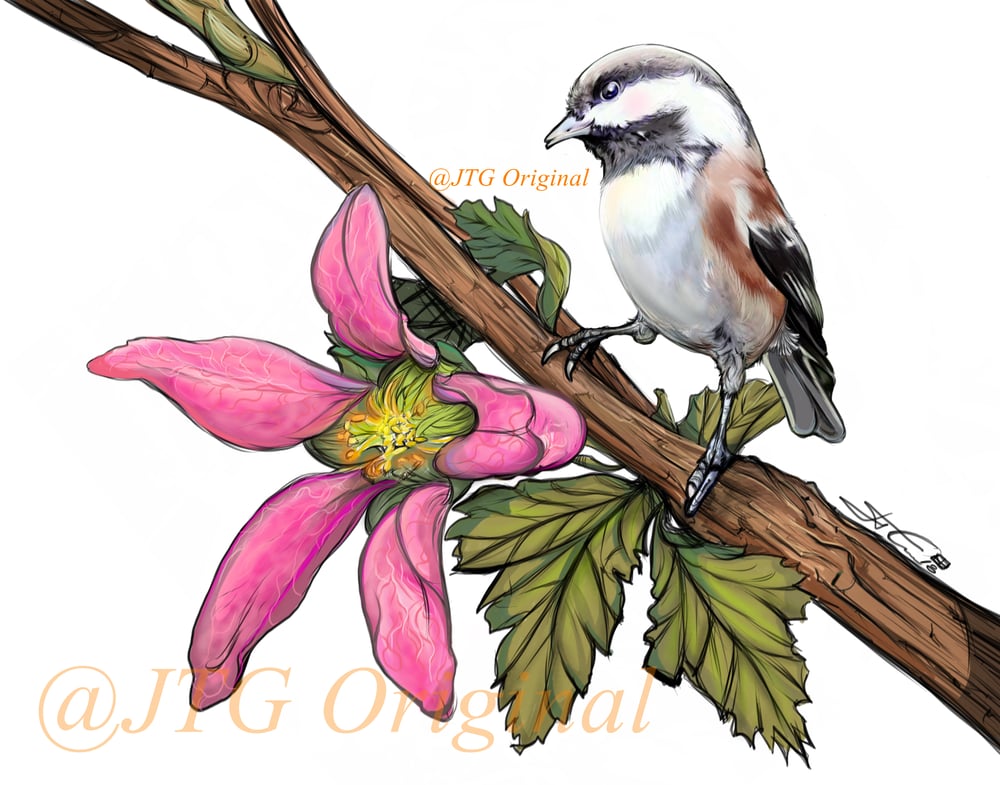 "Chickadee Spring" Nature Series Framed Artwork