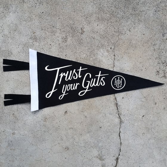 Image of Trust Your Guts Pennant