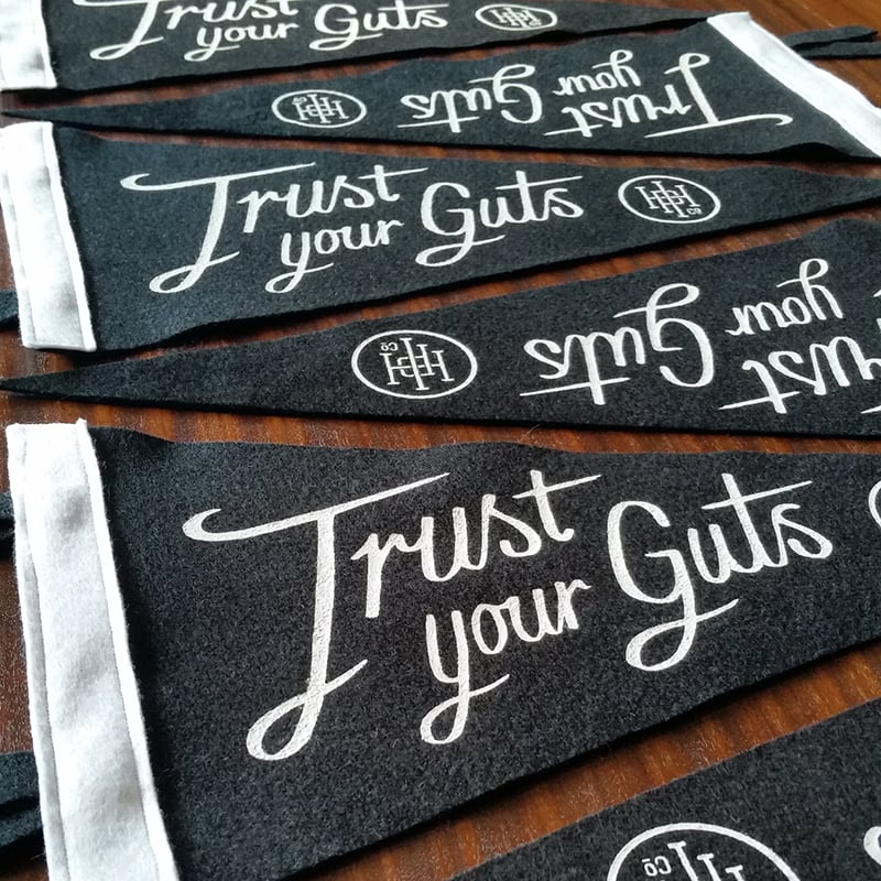 Image of Trust Your Guts Pennant