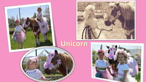 Image of THEMED Pony Party Package