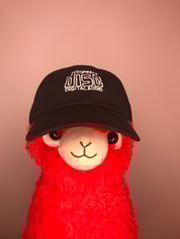 Image 1 of compact disc hat