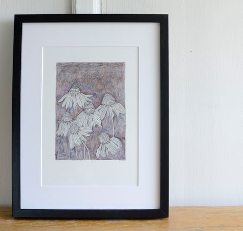 Image of Echinacea artprint