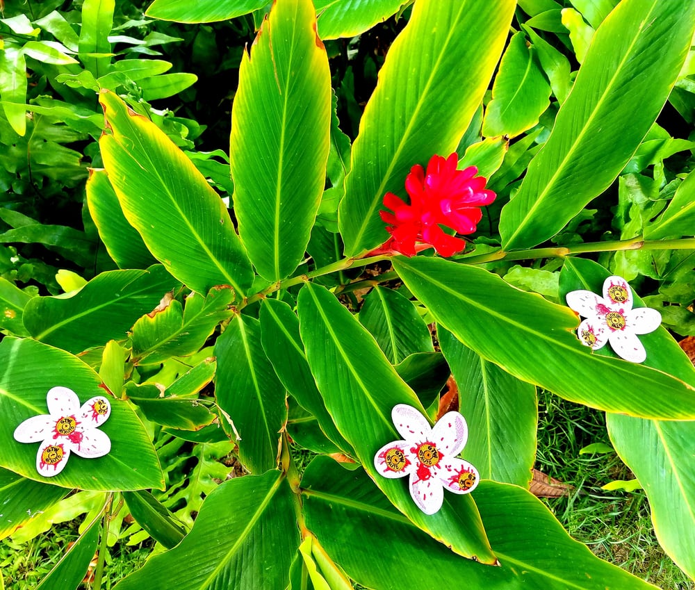 Image of Limited  Edition Blood Shot Plumeria 