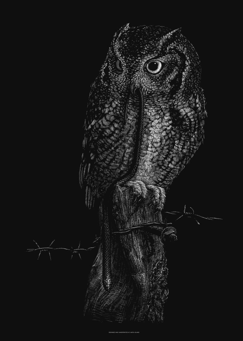 Image of »Little Owl« Screen Print