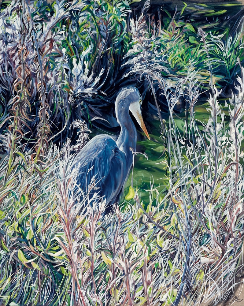 Image of Heron- Print