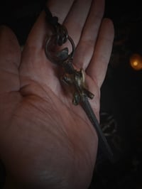 Image 2 of Coffin nail & vertebrae 