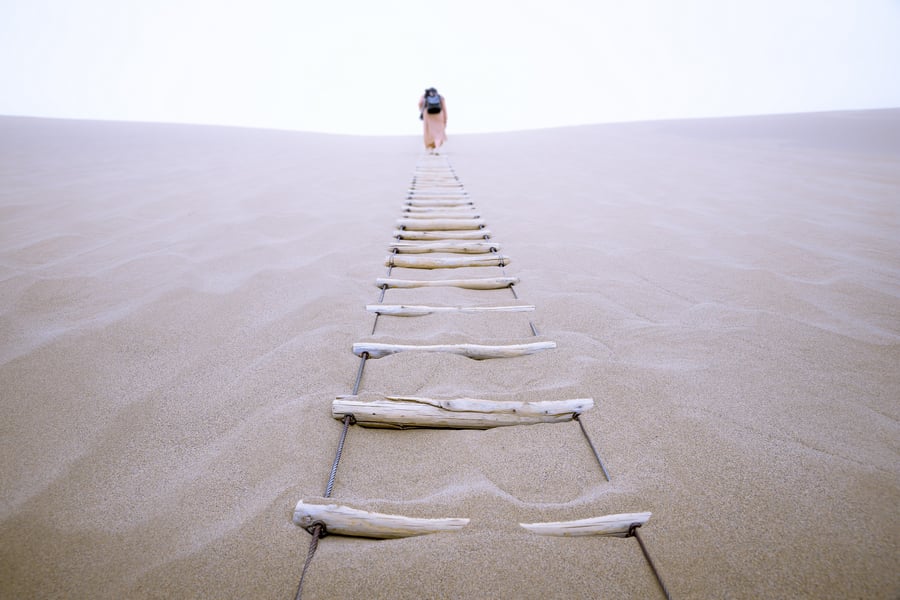 Image of Up Wooden Steps