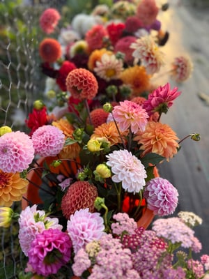 Image of Pick your own themed events 2026 